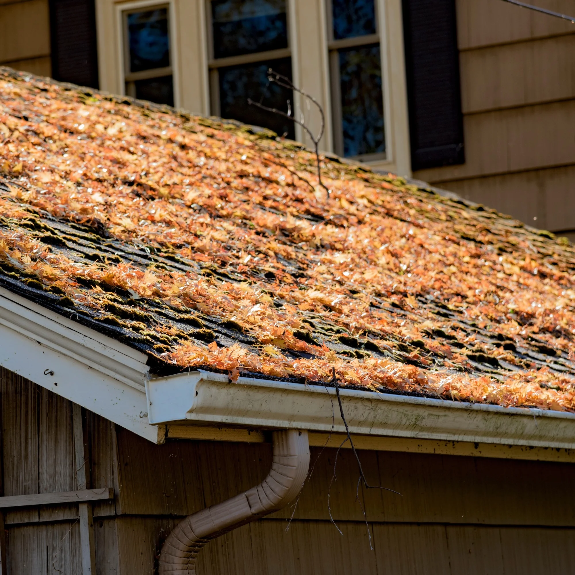 Prepare Your Home’s Gutters for Fall and Winter: Expert Tips from Reset Roofing