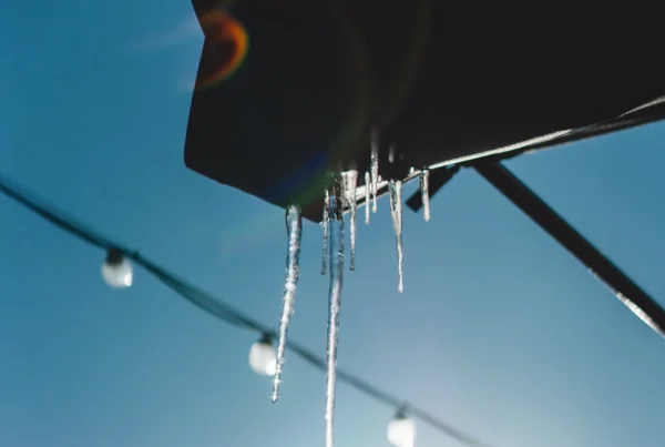 Icicle Sunny Day 2023 11 27 05 35 23 Utc