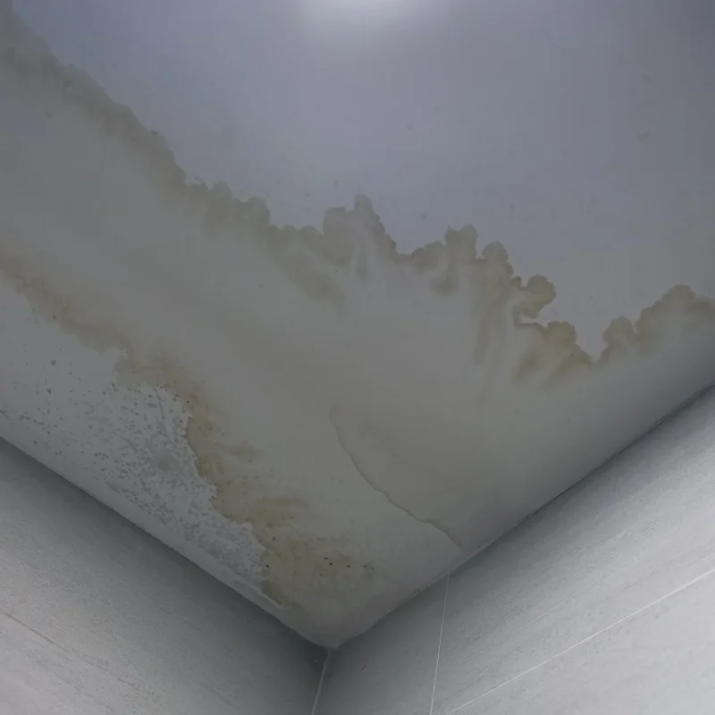 Water Stain On The Ceiling 2023 11 27 05 24 22 Utc