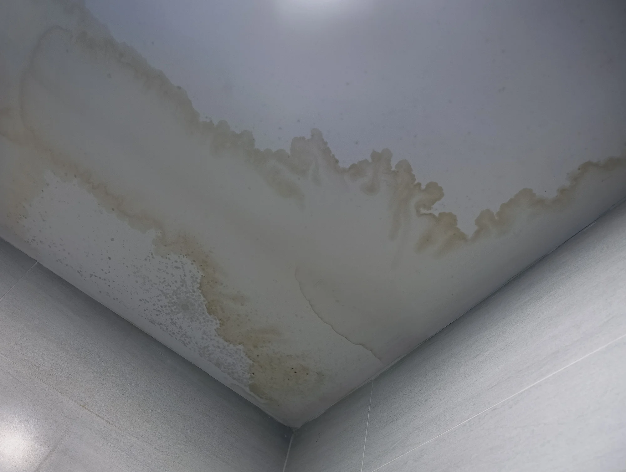 7 Unmistakable Signs Your Roof Is Leaking